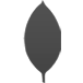 MongoDB